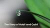 The Story of Habil and Qabil The History of the First Qurbani in Islam