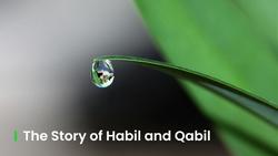 The Story of Habil and Qabil The History of the First Qurbani in Islam