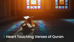 Heart Touching Verses of Quran