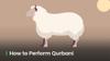 How to Perform Qurbani