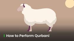 How to Perform Qurbani